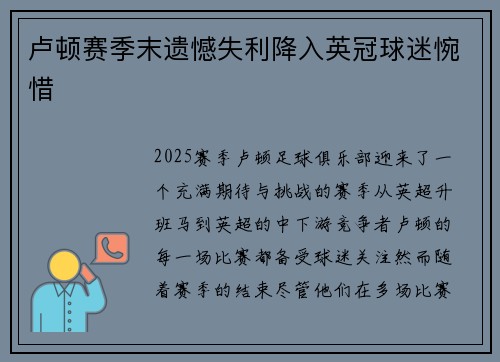 卢顿赛季末遗憾失利降入英冠球迷惋惜